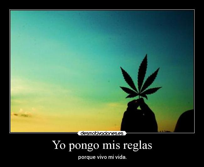 carteles 72geus9 desmotivaciones