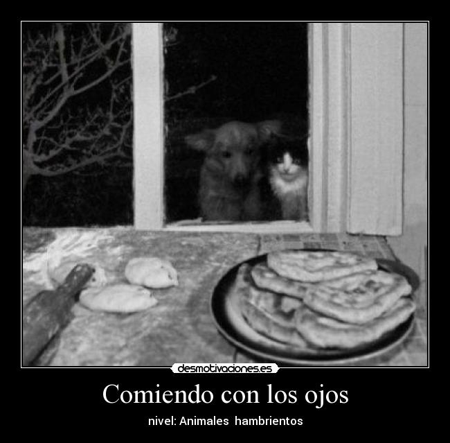 Comiendo con los ojos - 