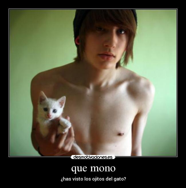 que mono - ¿has visto los ojitos del gato?