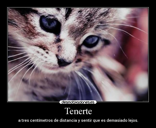 Tenerte - a tres centímetros de distancia y sentir que es demasiado lejos.
