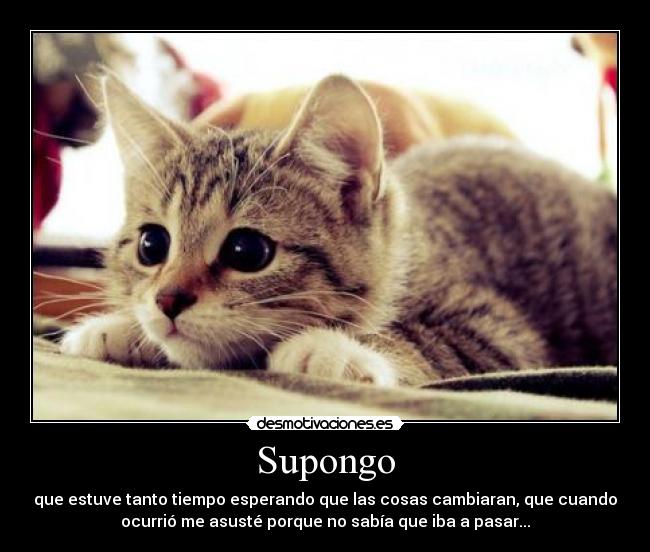 Supongo -