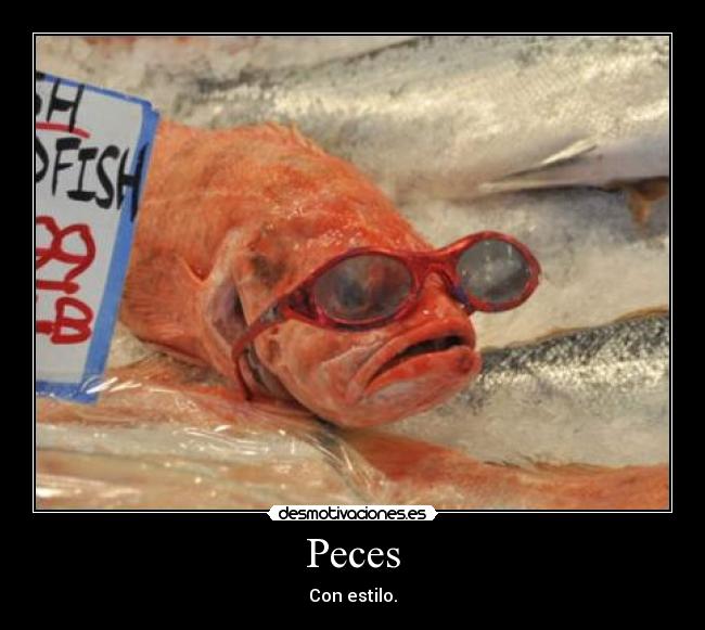 Peces -
