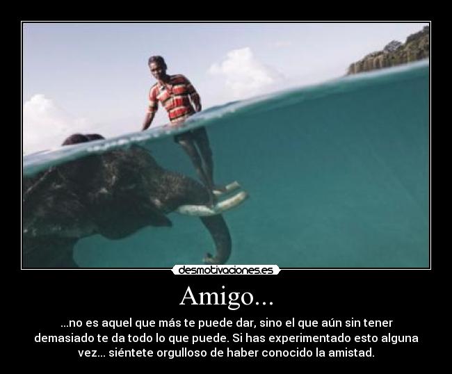Amigo... - ...no es aquel que más te puede dar, sino el que aún sin tener
demasiado te da todo lo que puede. Si has experimentado esto alguna
vez... siéntete orgulloso de haber conocido la amistad.