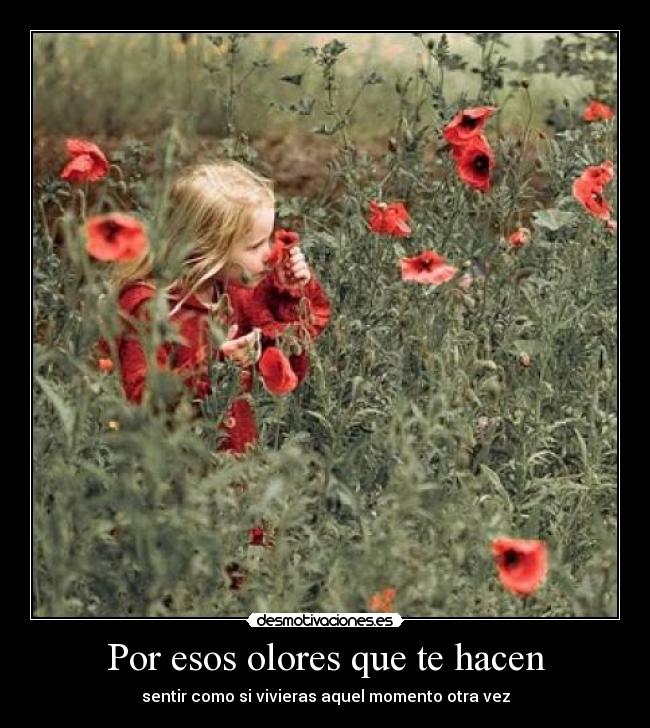 Por esos olores que te hacen - 