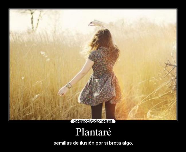 Plantaré - semillas de ilusión por si brota algo.