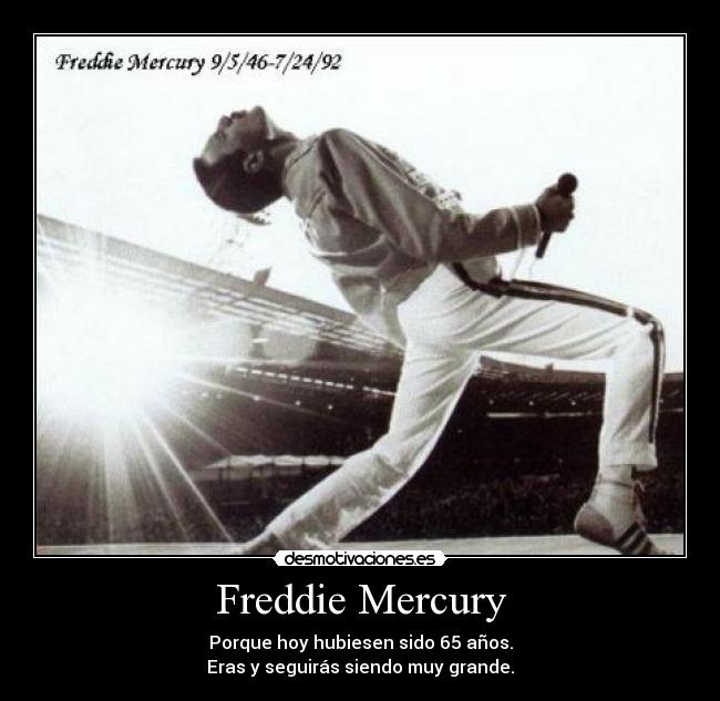 Freddie Mercury -