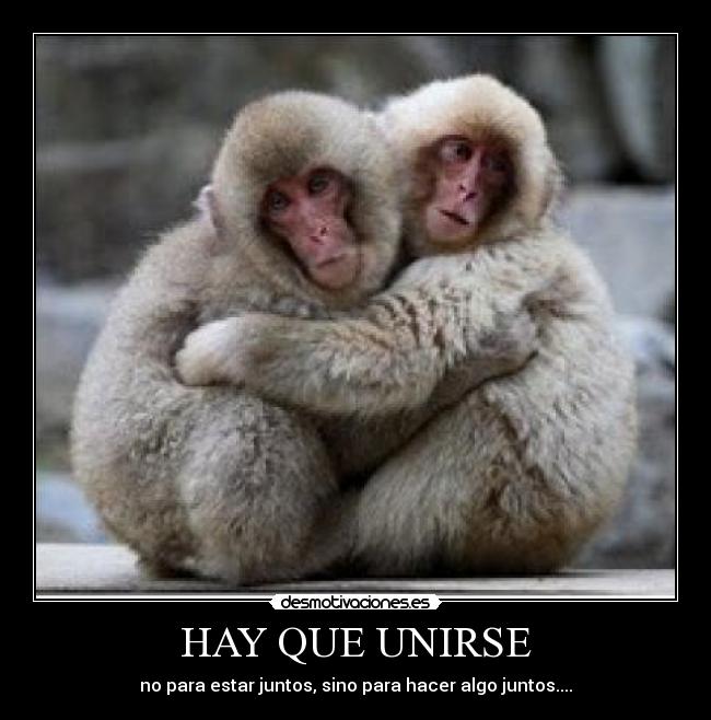 HAY QUE UNIRSE - no para estar juntos, sino para hacer algo juntos....
