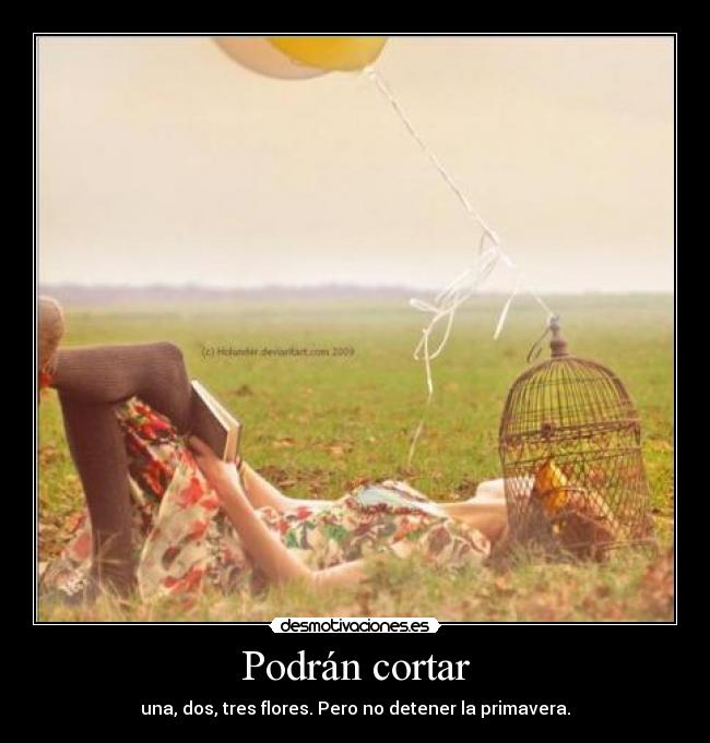 Podrán cortar - 