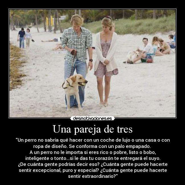 Una pareja de tres - Un perro no sabría qué hacer con un coche de lujo o una casa o con
ropa de diseño. Se conforma con un palo empapado.
A un perro no le importa si eres rico o pobre, listo o bobo,
inteligente o tonto...si le das tu corazón te entregará el suyo.
¿De cuánta gente podrías decir eso? ¿Cuánta gente puede hacerte
sentir excepcional, puro y especial? ¿Cuánta gente puede hacerte
sentir extraordinario?
