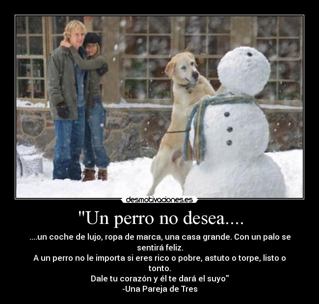Un perro no desea.... -