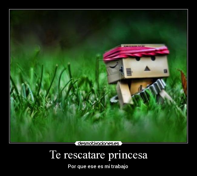 Te rescatare princesa - Por que ese es mi trabajo 