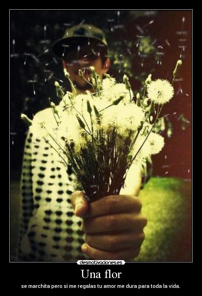 Una flor -