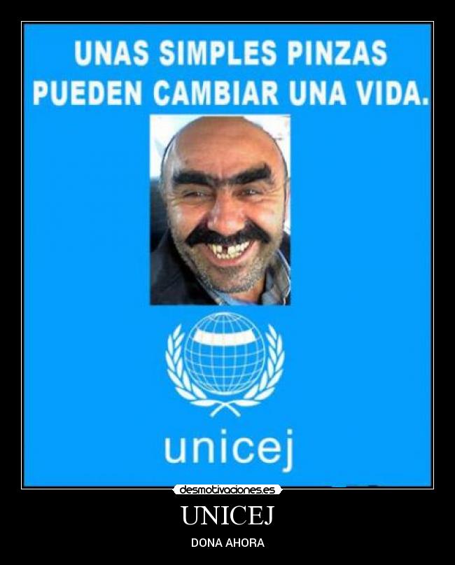 carteles unicej desmotivaciones