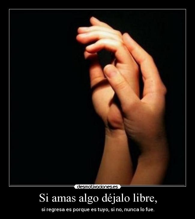 Si amas algo déjalo libre, - si regresa es porque es tuyo, si no, nunca lo fue.