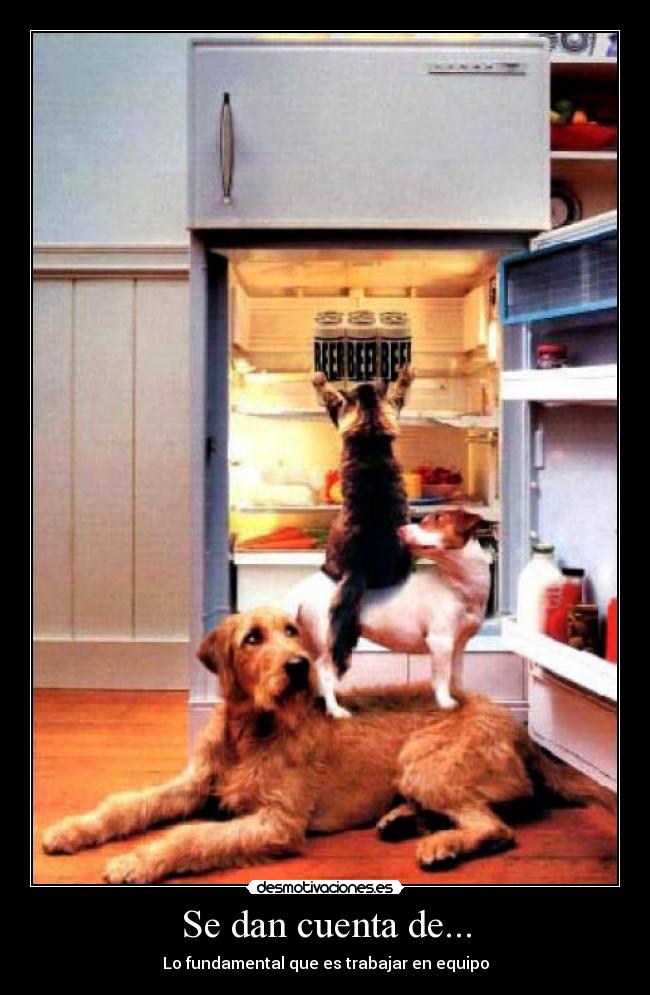 Se dan cuenta de... - 