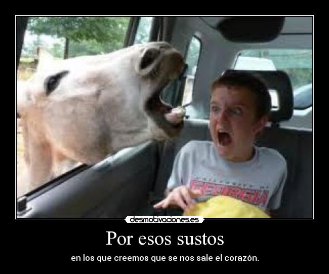 carteles sustos acabn dar uno infarto aaaaahhhhh desmotivaciones