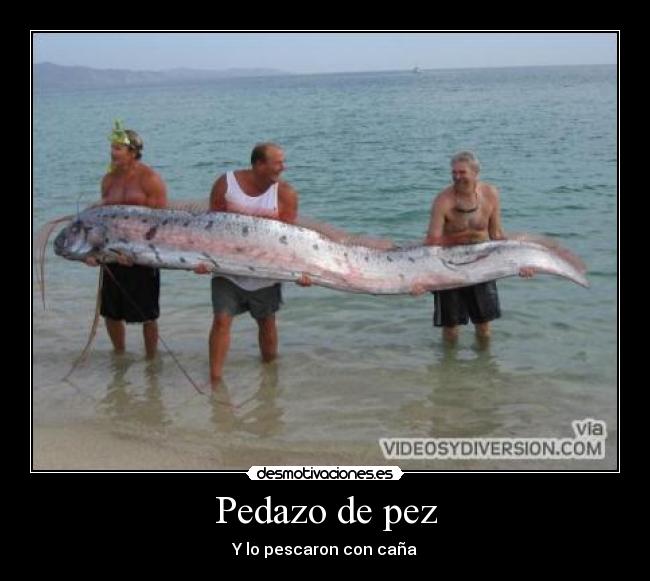 carteles ererere desmotivaciones