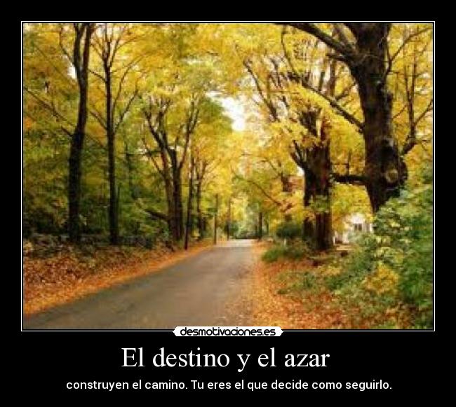 El destino y el azar - construyen el camino. Tu eres el que decide como seguirlo.