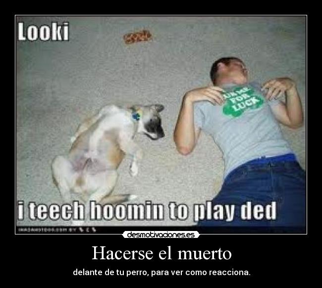 Hacerse el muerto - 