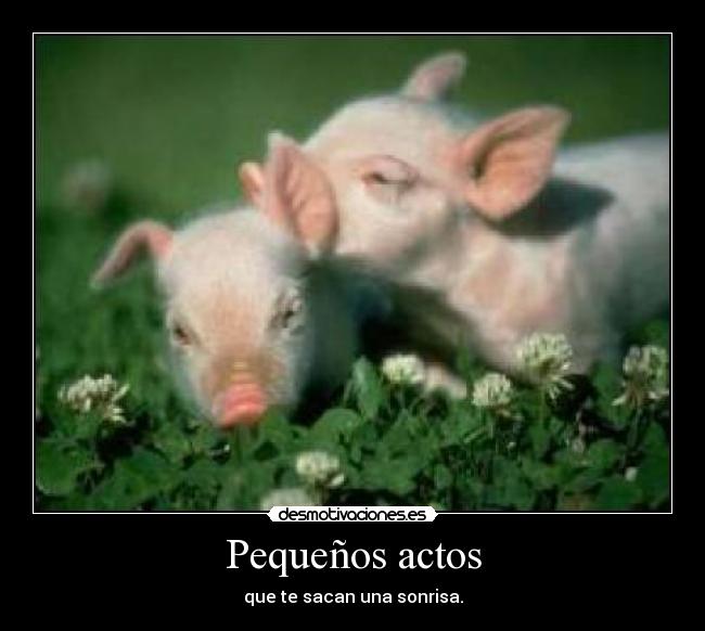 Pequeños actos - 