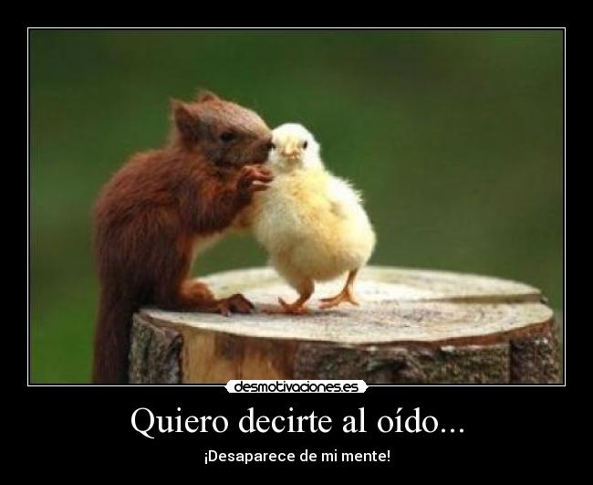 Quiero decirte al oído... - 