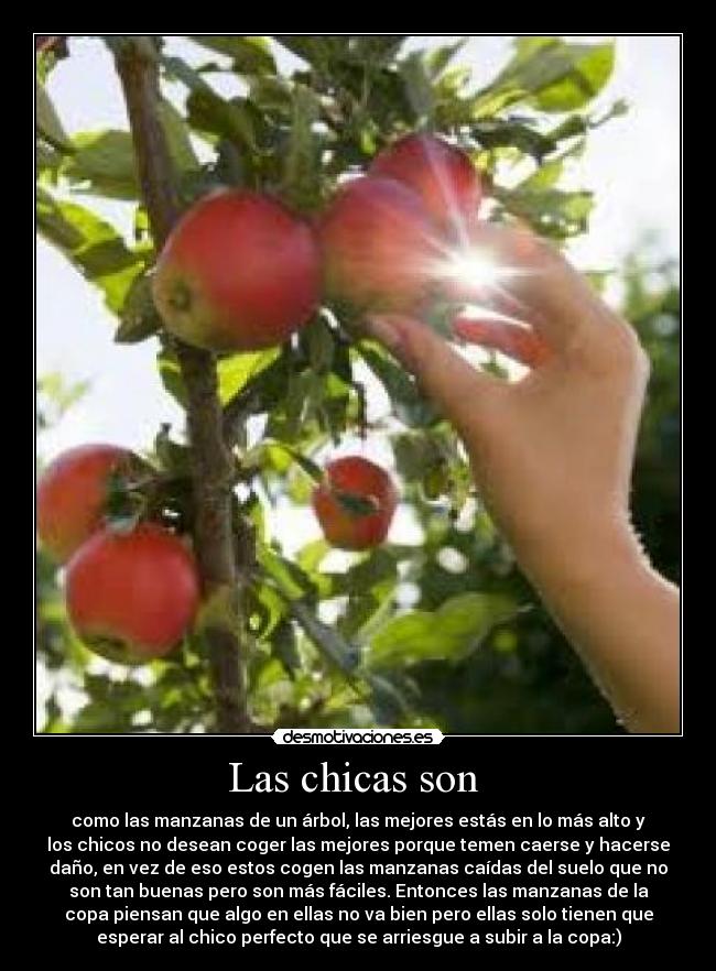 Las chicas son  - 