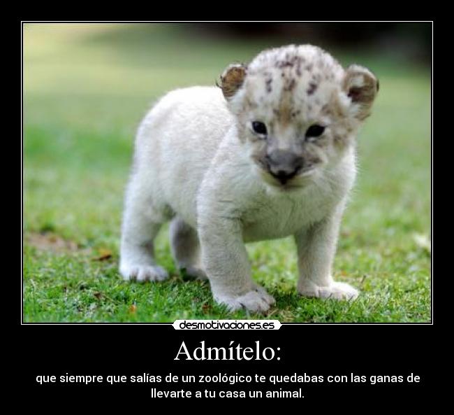 Admítelo: - que siempre que salías de un zoológico te quedabas con las ganas de
llevarte a tu casa un animal.
