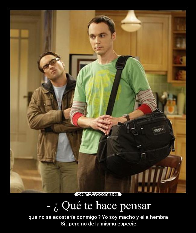 carteles sheldon cooper desmotivaciones