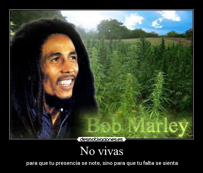 No vivas -