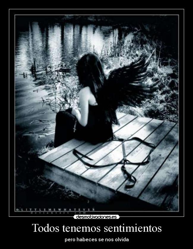 carteles sentimientos sentimientos desmotivaciones