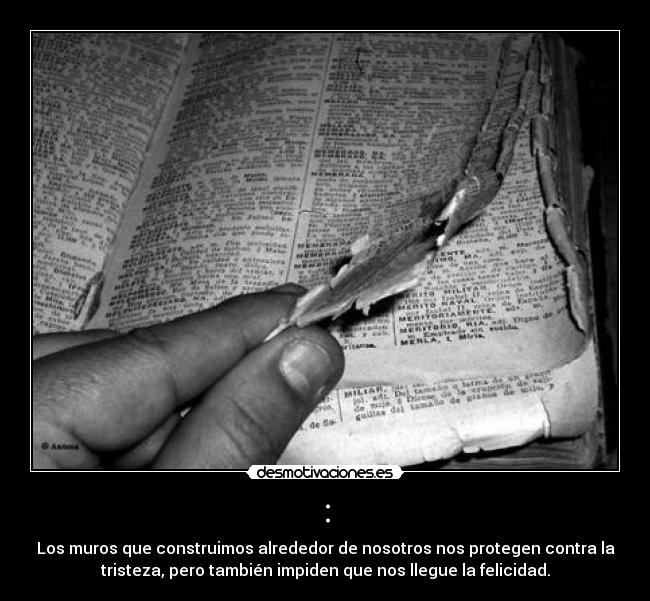 : - Los muros que construimos alrededor de nosotros nos protegen contra la
tristeza, pero también impiden que nos llegue la felicidad.