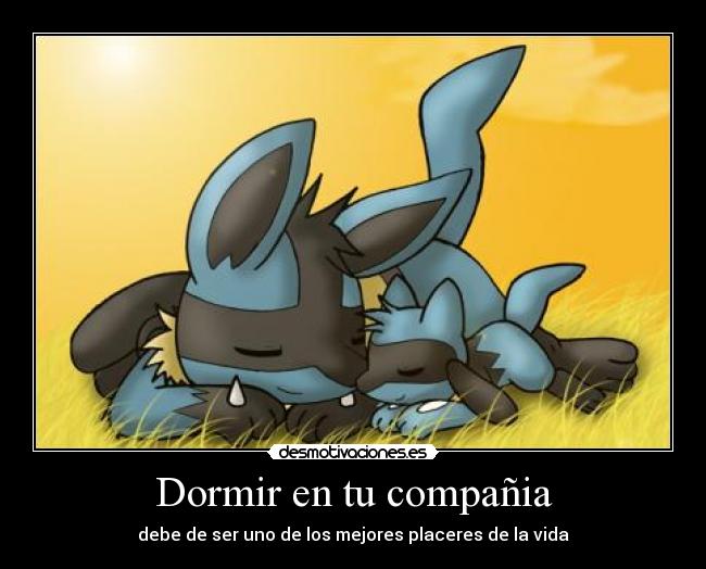 carteles dormir riolu dormir compania desmotivaciones