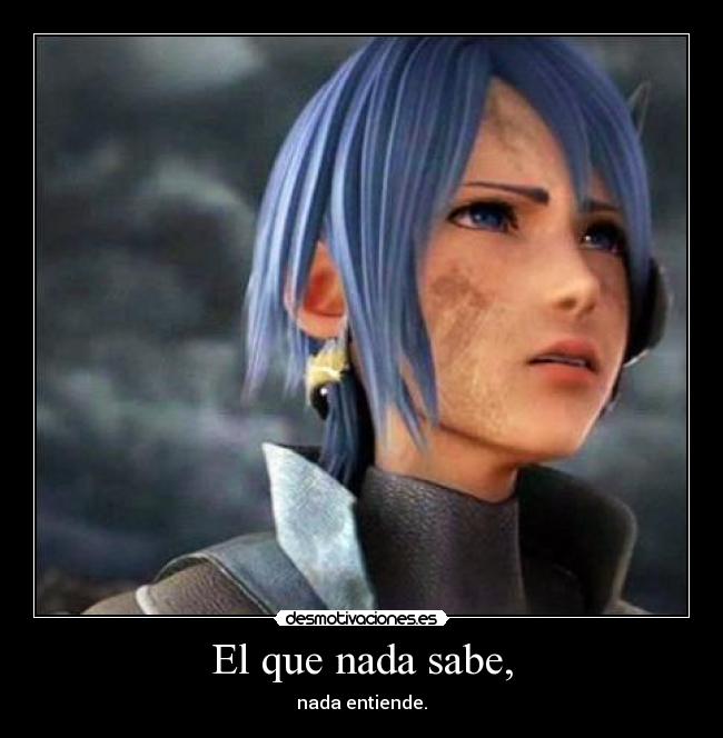 carteles saber entender nada kingdom hearts desmotivaciones