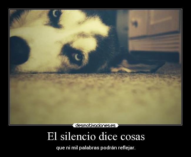 carteles silencio bulma272 clanvirus nanananananaaa  silencio everywhere desmotivaciones