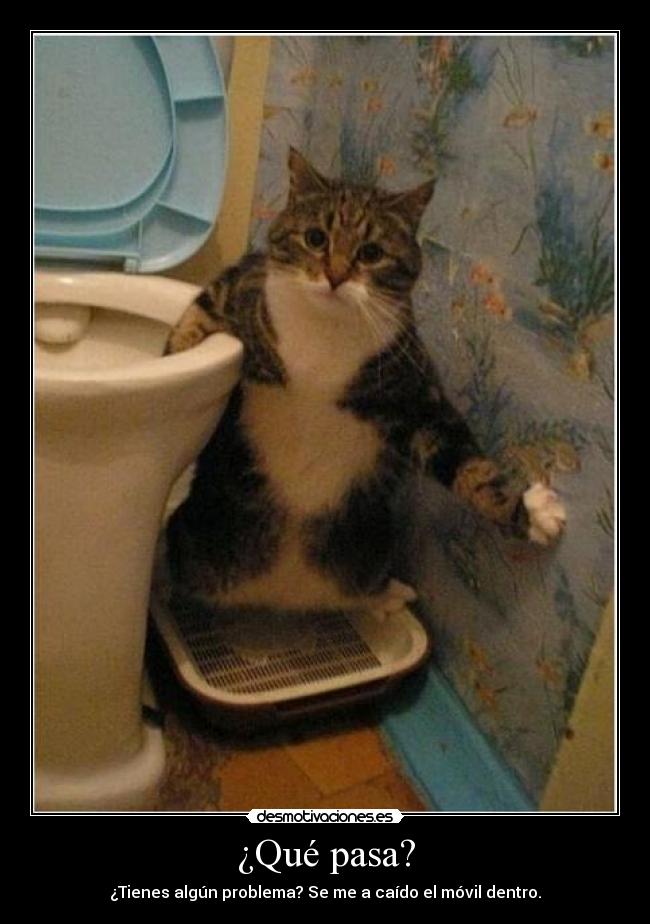 ¿Qué pasa? - ¿Tienes algún problema? Se me a caído el móvil dentro.
