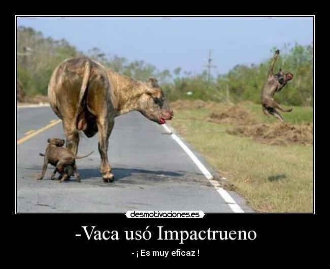 -Vaca usó Impactrueno - - ¡ Es muy eficaz !