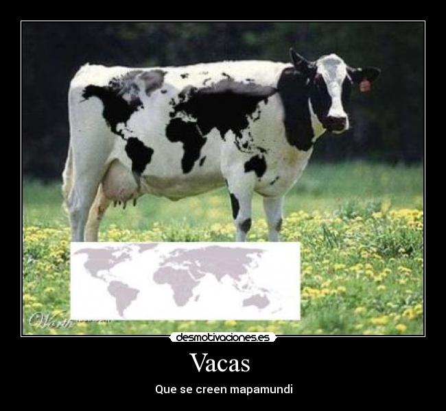 Vacas  - 