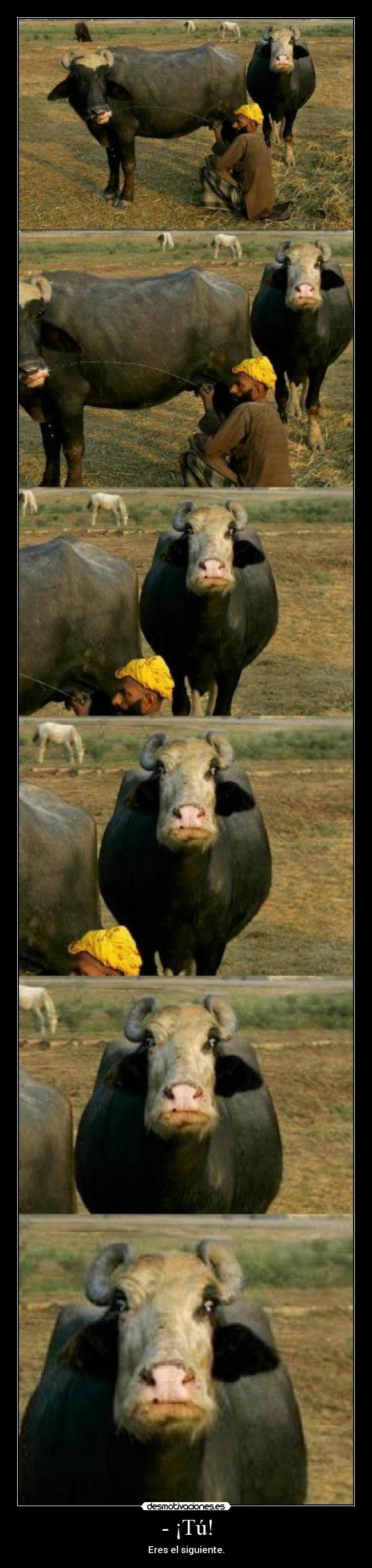 - ¡Tú! - Eres el siguiente.