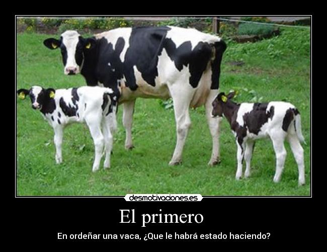 carteles muuuuuuuuuuuuuuu desmotivaciones