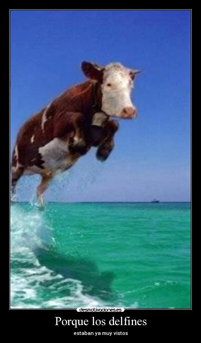 Porque los delfines - estaban ya muy vistos