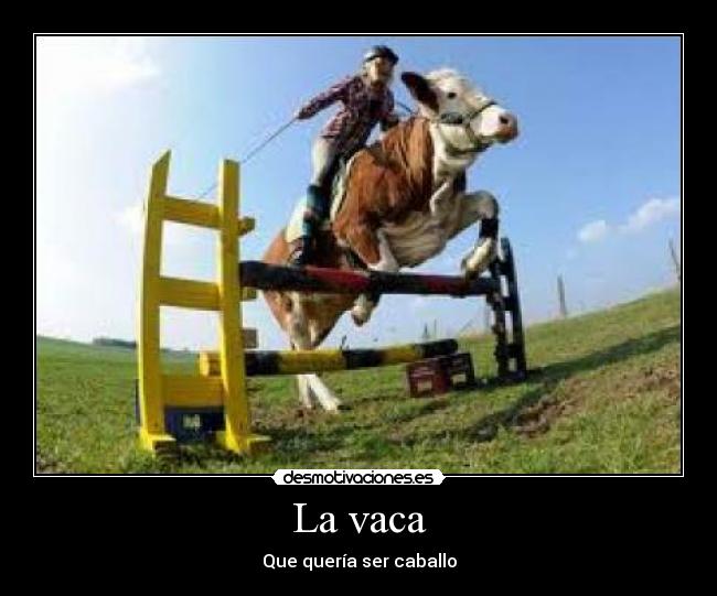 La vaca - 