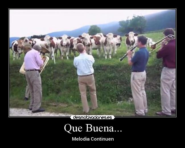Que Buena... - Melodia Continuen