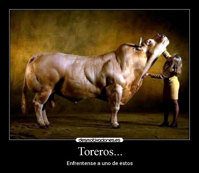 Toreros... - Enfrentense a uno de estos