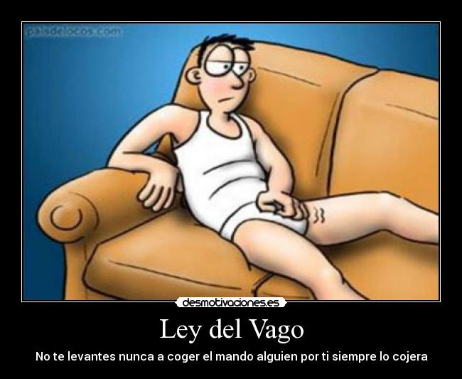 Ley del Vago -