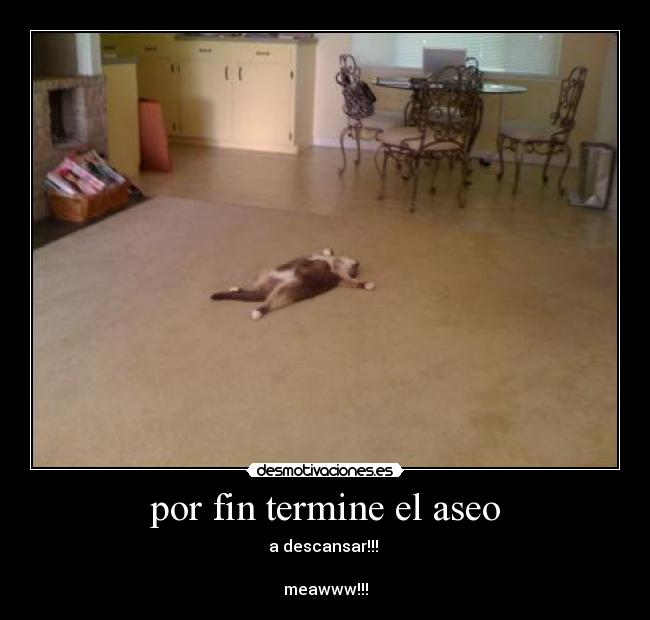 por fin termine el aseo -