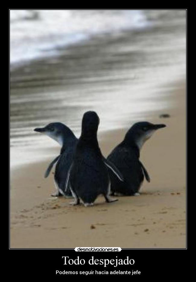 Todo despejado - Podemos seguir hacia adelante jefe