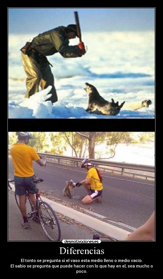 carteles vaso tonto sabio 11elvis11 the observer estuvo observando este cartel desmotivaciones