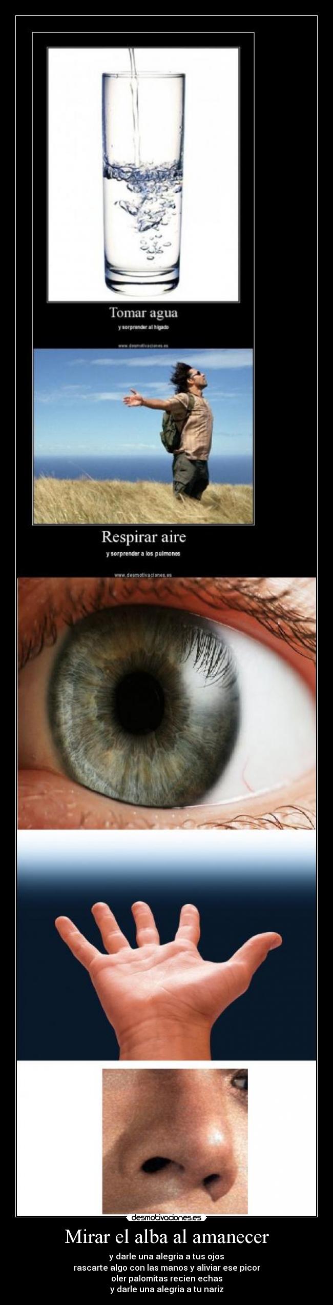 Mirar el alba al amanecer -