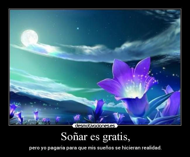 Soñar es gratis, - pero yo pagaria para que mis sueños se hicieran realidad.