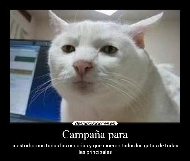Campaña para - 